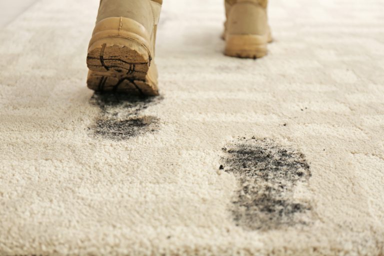 How to clean carpets