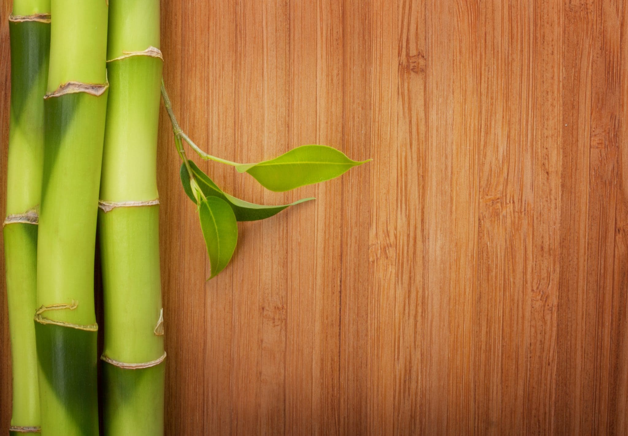 What Is Sustainable Flooring 